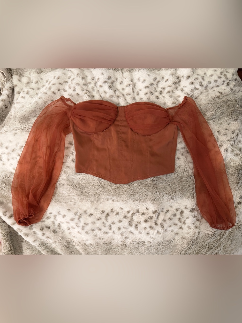 Rust Mesh Bustier Corset Top Sheer Puff Sleeve Romantic Renaissance Fairy